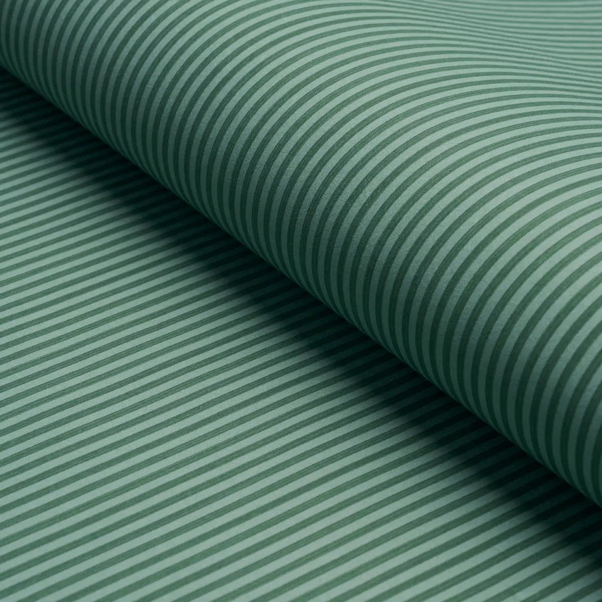 EDWIN-STRIPE-NARROW-DARK-GREEN-SCHUMACHER-5013603