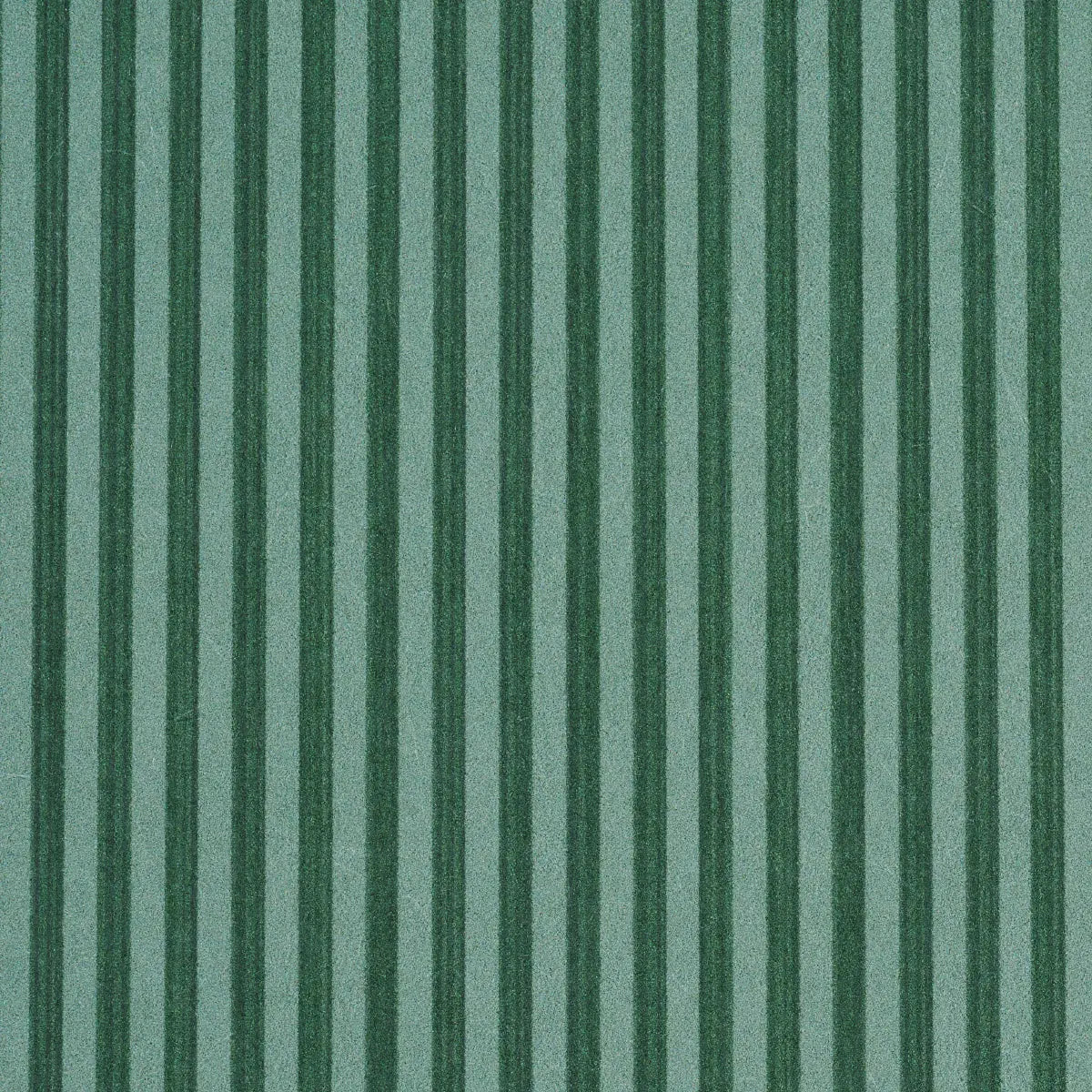 EDWIN-STRIPE-NARROW-DARK-GREEN-SCHUMACHER-5013603