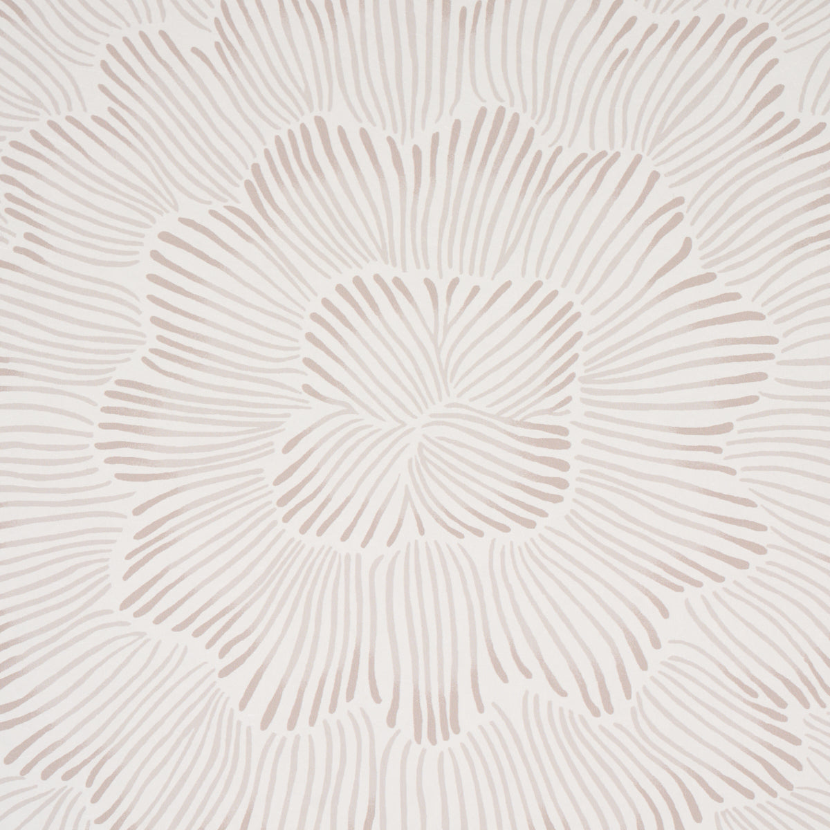 FEATHER-BLOOM-SOFT-NEUTRAL-SCHUMACHER-5013821