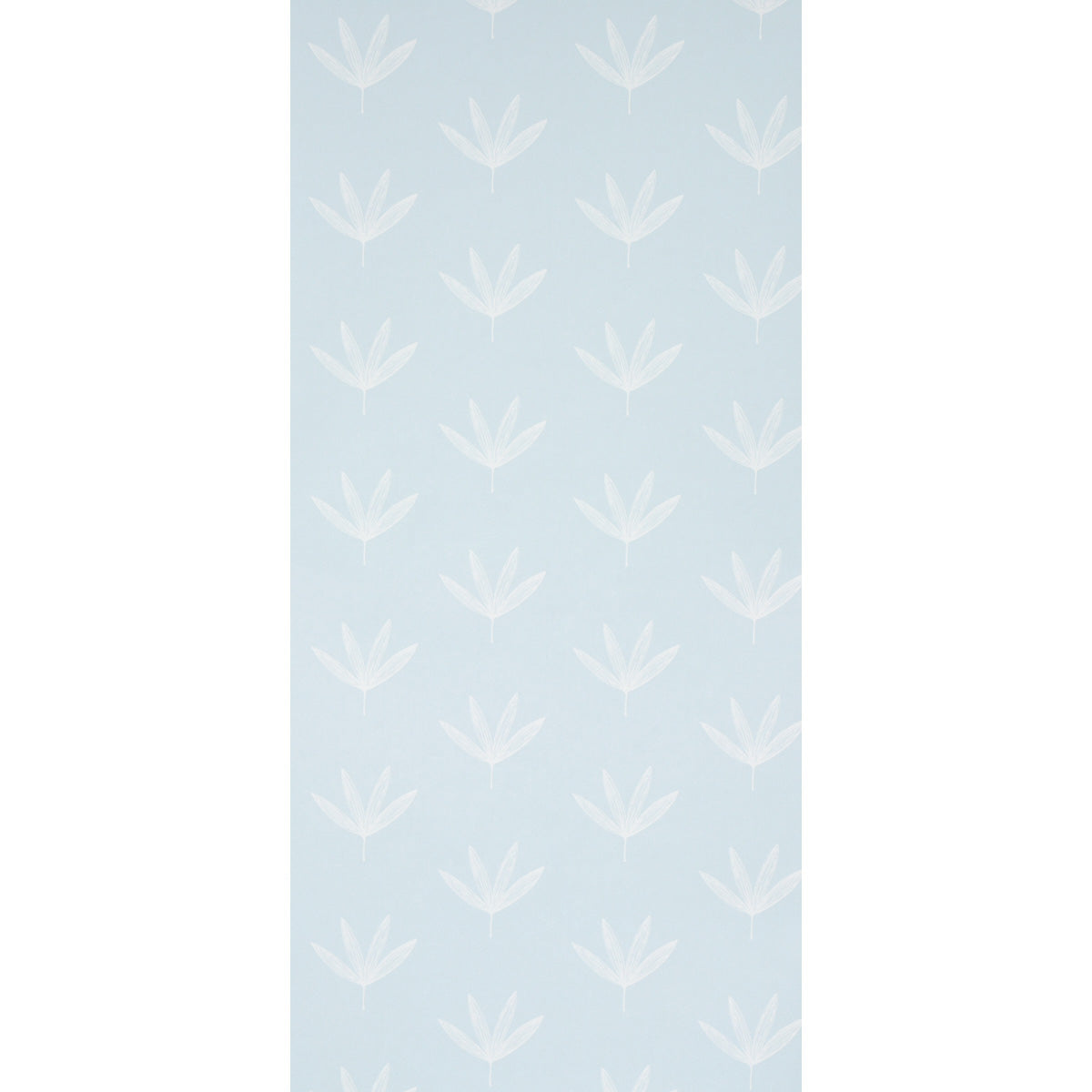 RUE-SKY-SCHUMACHER-5013920