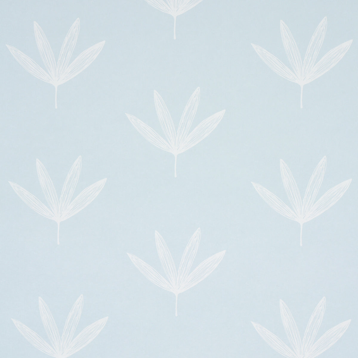 RUE-SKY-SCHUMACHER-5013920