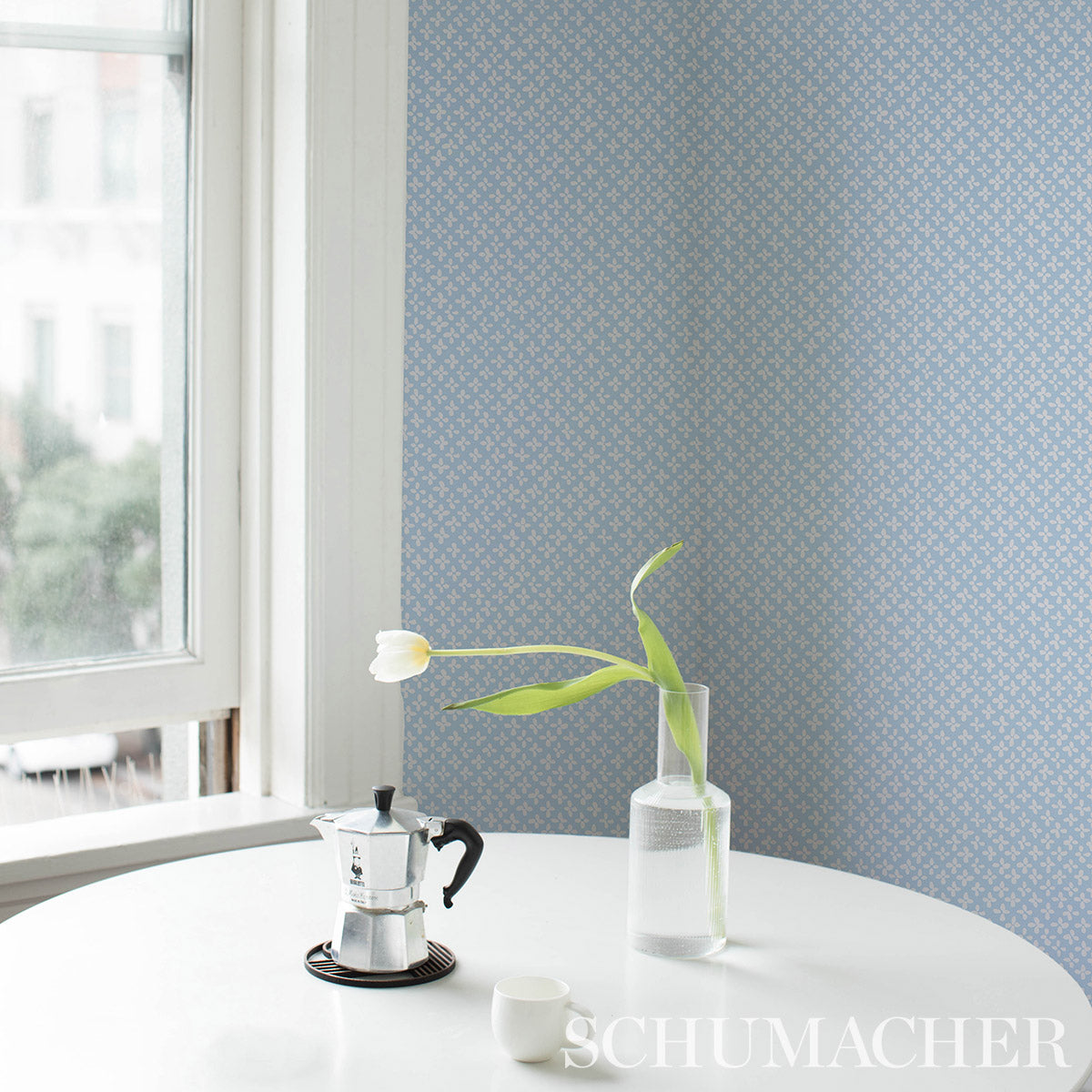 EMERSON-IVORY-ON-SKY-SCHUMACHER-5013940