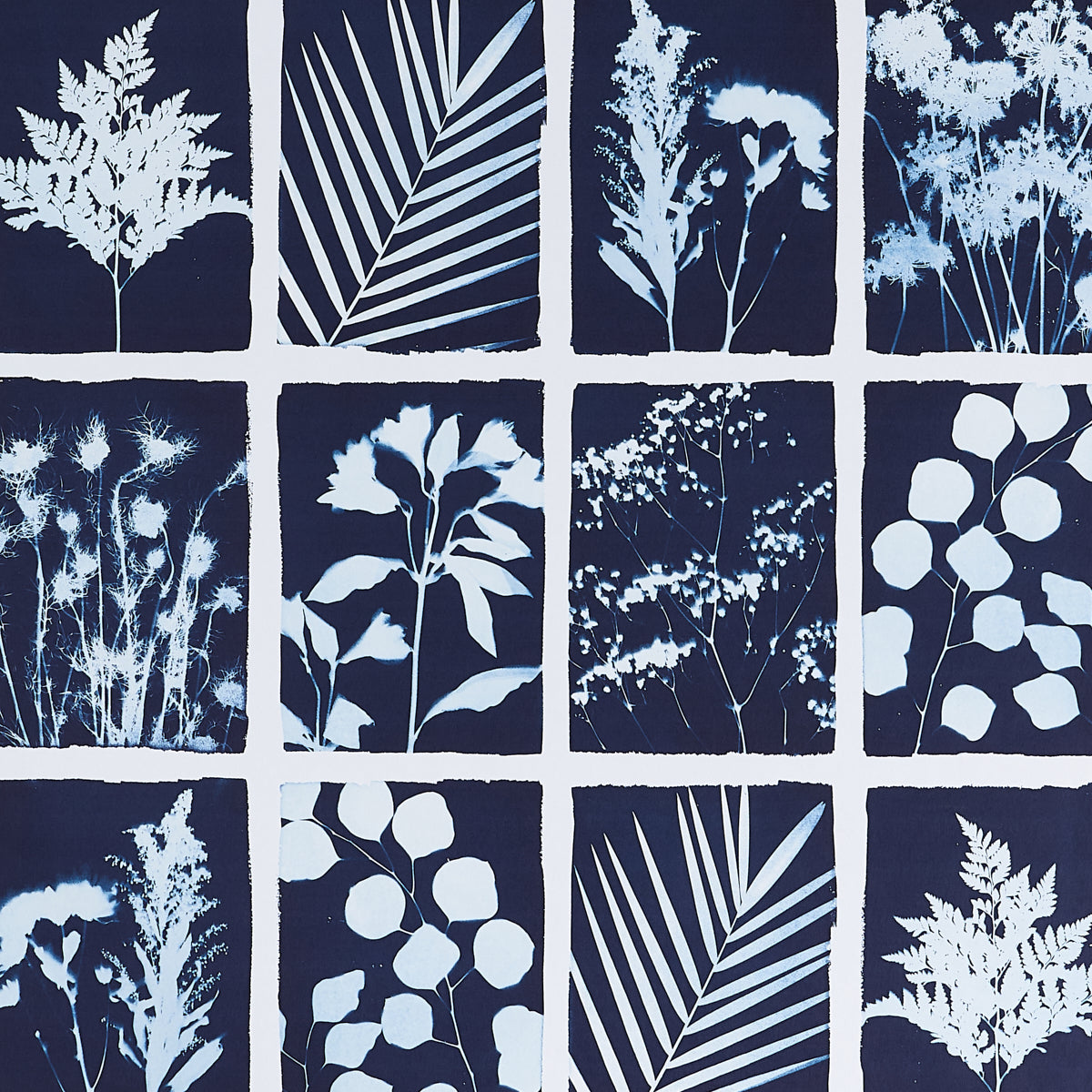 CYANOTYPE-PANEL-INDIGO-SCHUMACHER-5013970