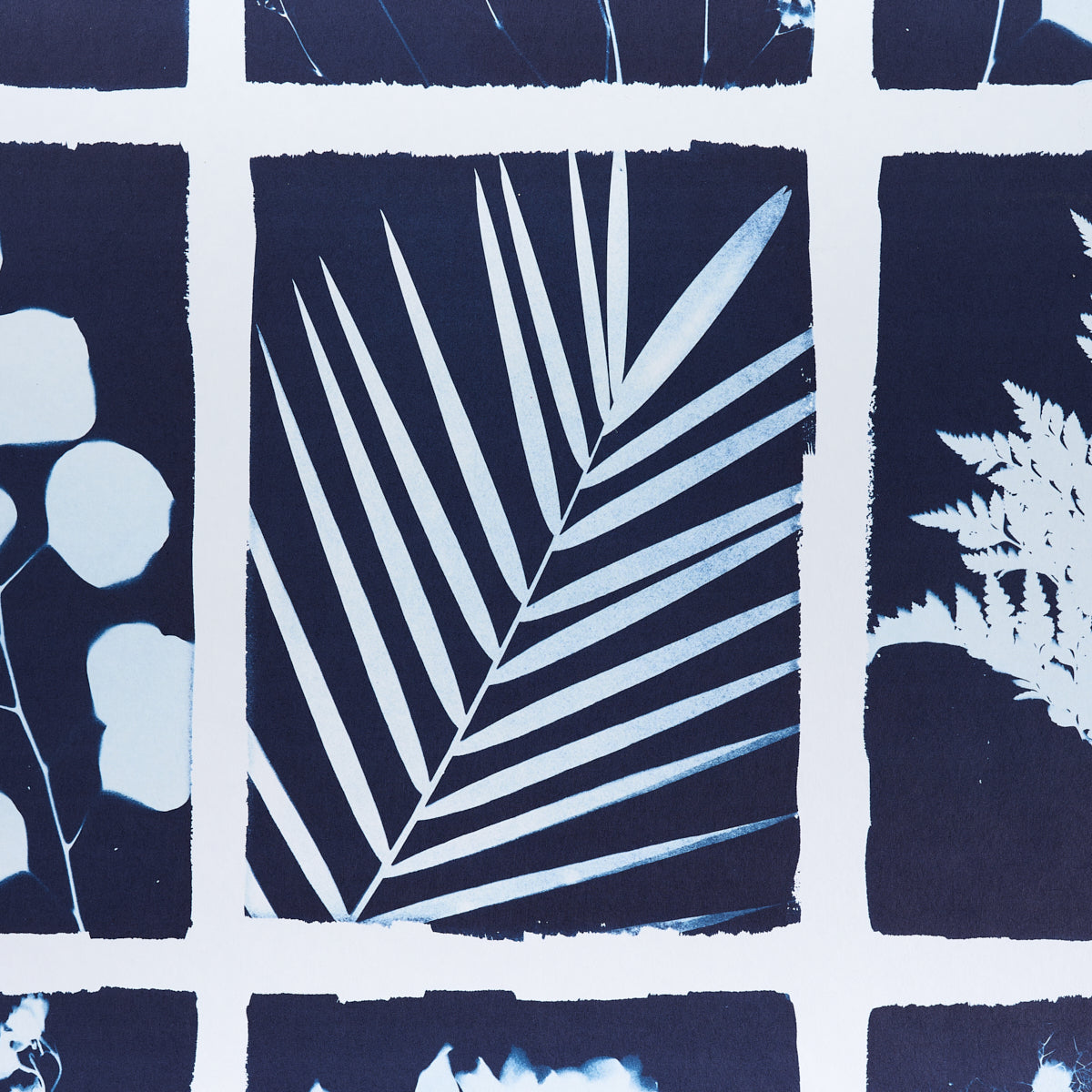 CYANOTYPE-PANEL-INDIGO-SCHUMACHER-5013970