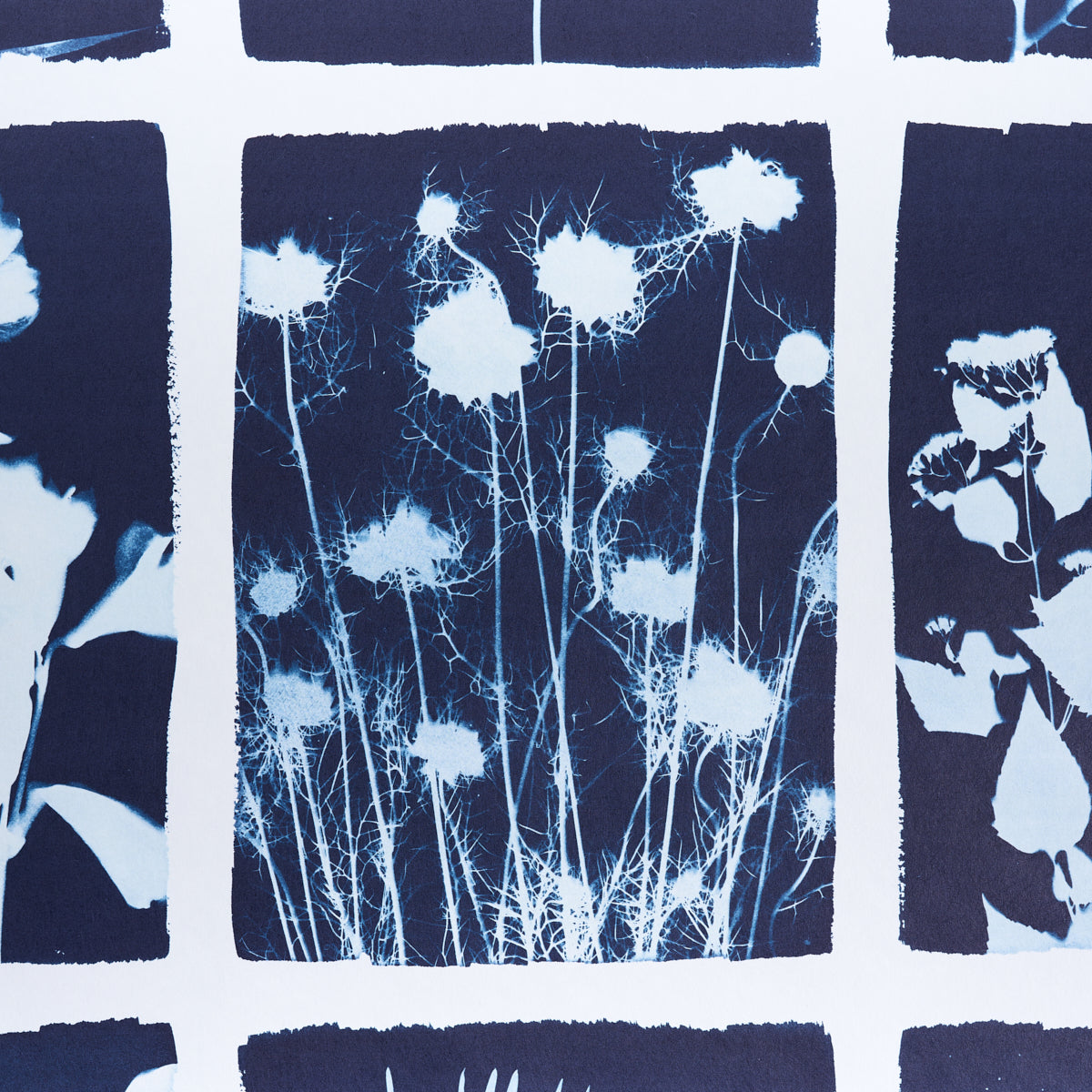 CYANOTYPE-PANEL-INDIGO-SCHUMACHER-5013970