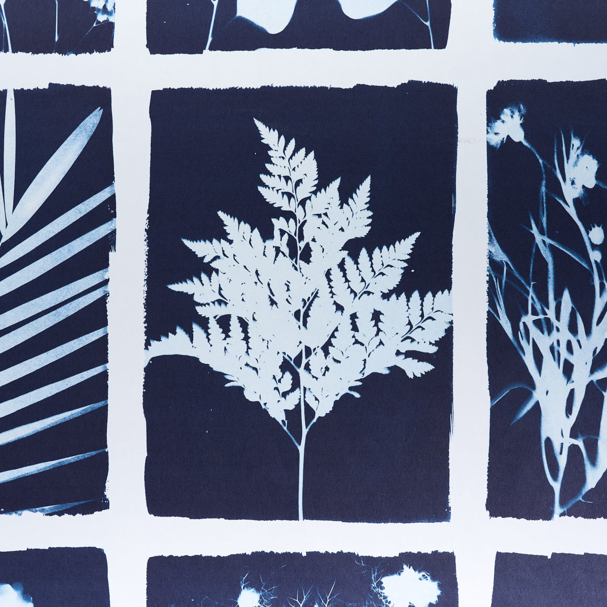 CYANOTYPE-PANEL-INDIGO-SCHUMACHER-5013970