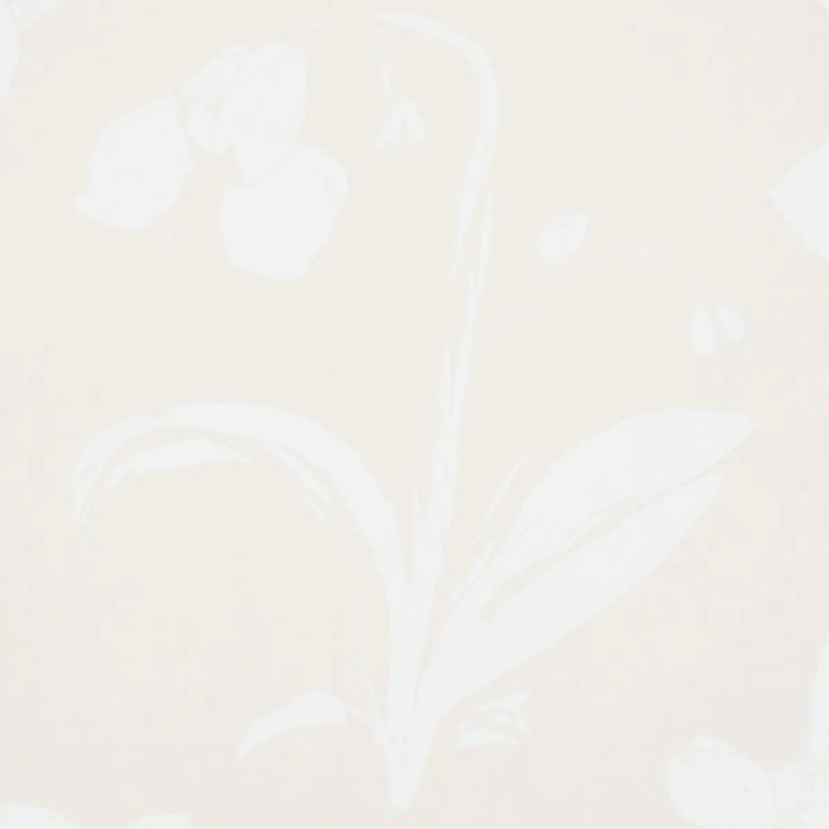 ORCHIDS-HAVE-DREAMS-LIGHT-NEUTRAL-SCHUMACHER-5014102