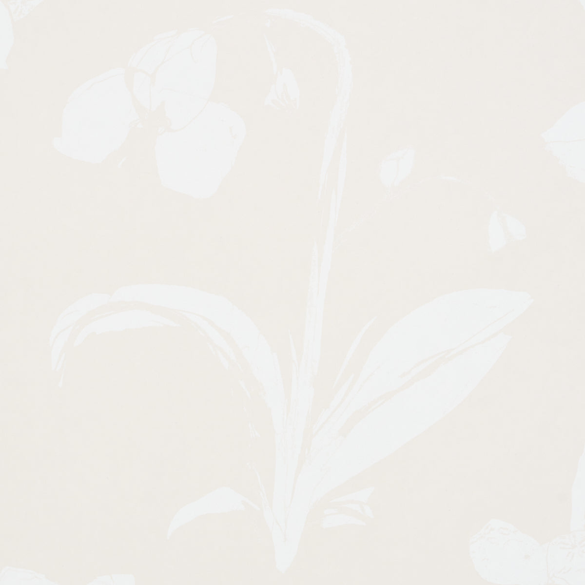 ORCHIDS-HAVE-DREAMS-LIGHT-NEUTRAL-SCHUMACHER-5014102