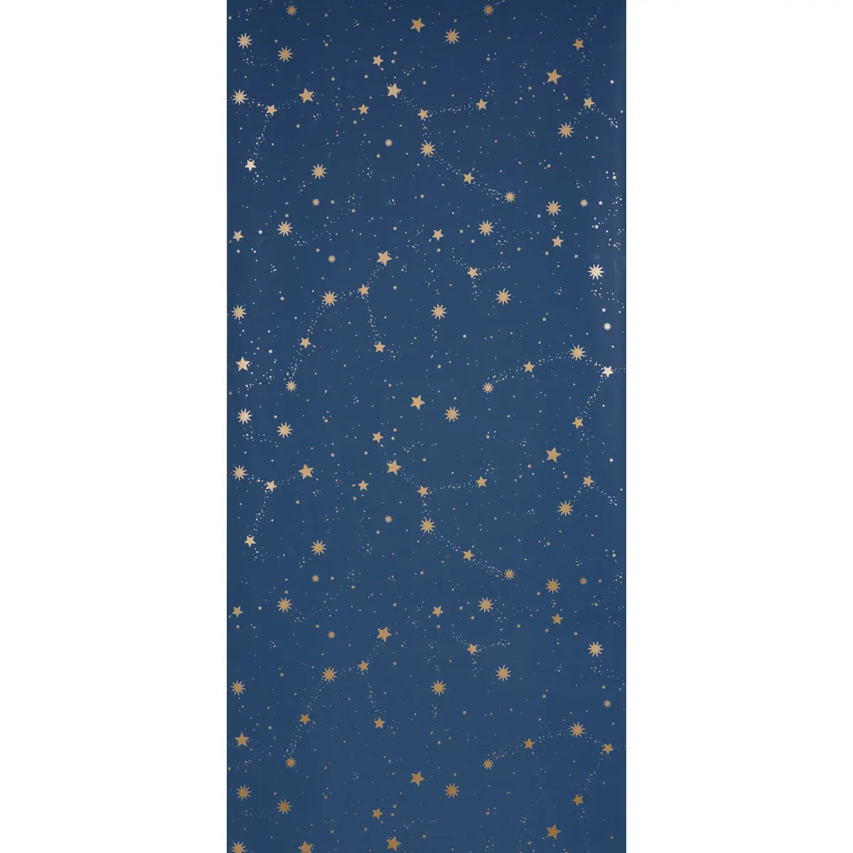 SCATTERED-STARS-NIGHT-SCHUMACHER-5014141