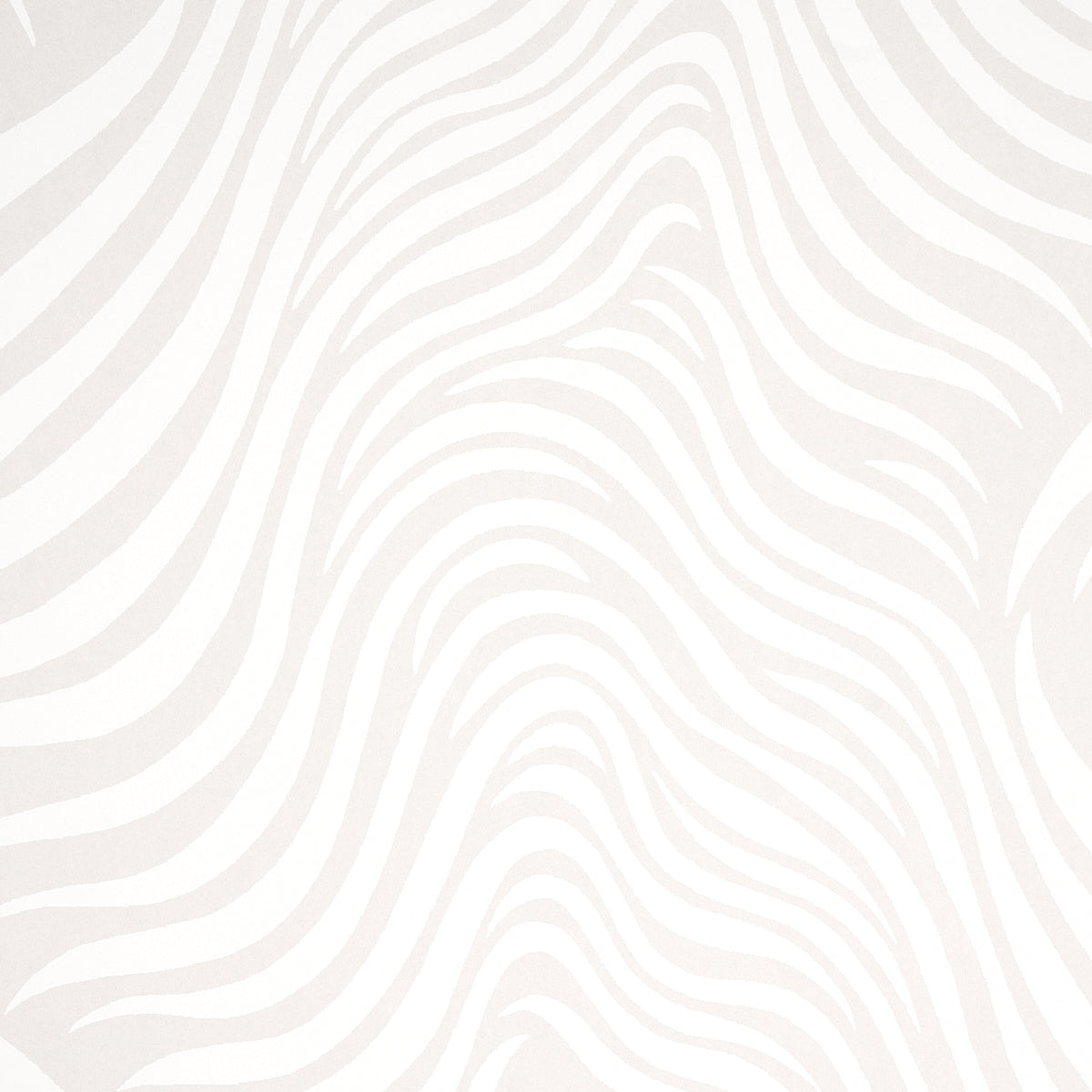 SAUVAGE-DOVE-SCHUMACHER-5014151