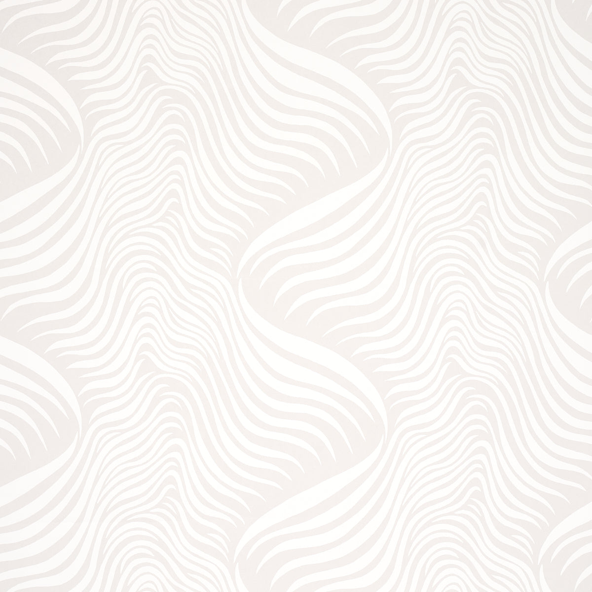 SAUVAGE-DOVE-SCHUMACHER-5014151