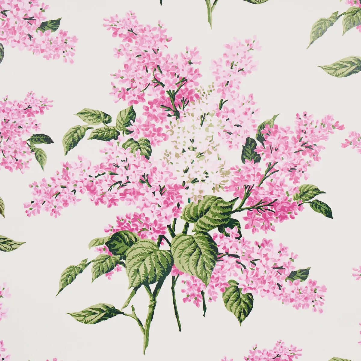 PROUSTS-LILACS-PINK-SCHUMACHER-5014312