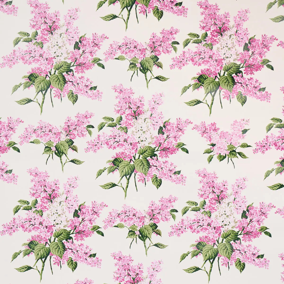 PROUSTS-LILACS-PINK-SCHUMACHER-5014312