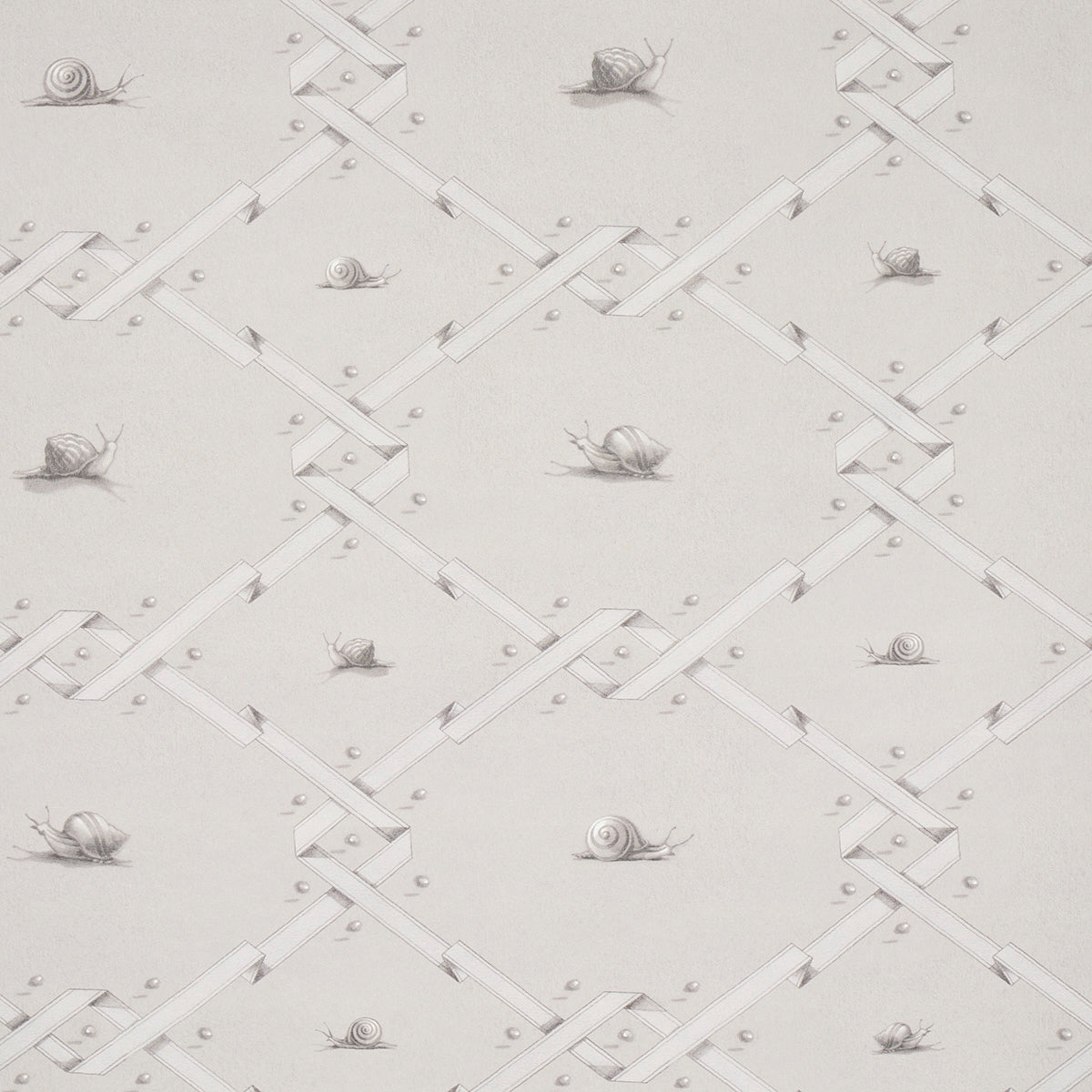 OUVREZ-MOI-GREY-SCHUMACHER-5014511