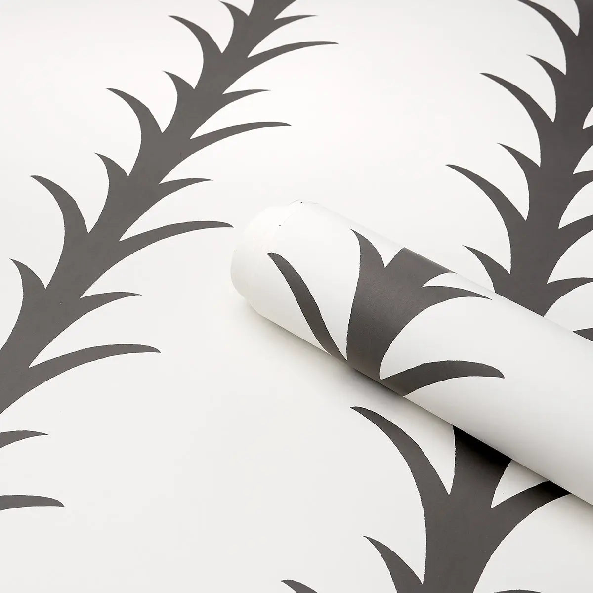 ACANTHUS-STRIPE-CARBON-ON-IVORY-SCHUMACHER-5014773