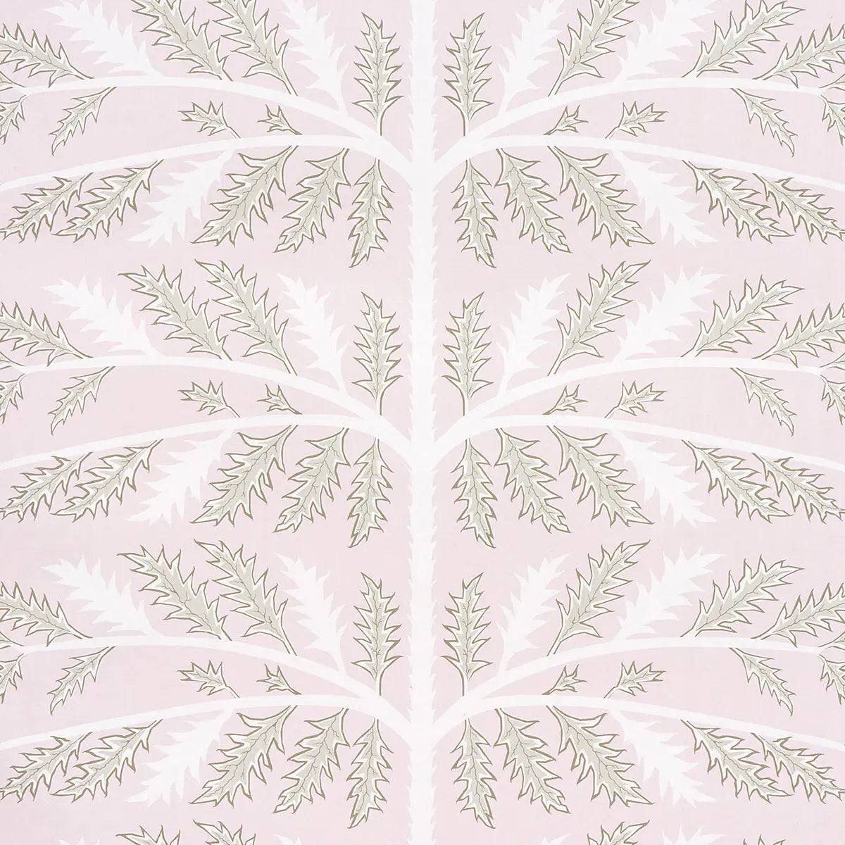 THISTLE-ROSE-SCHUMACHER-5014952