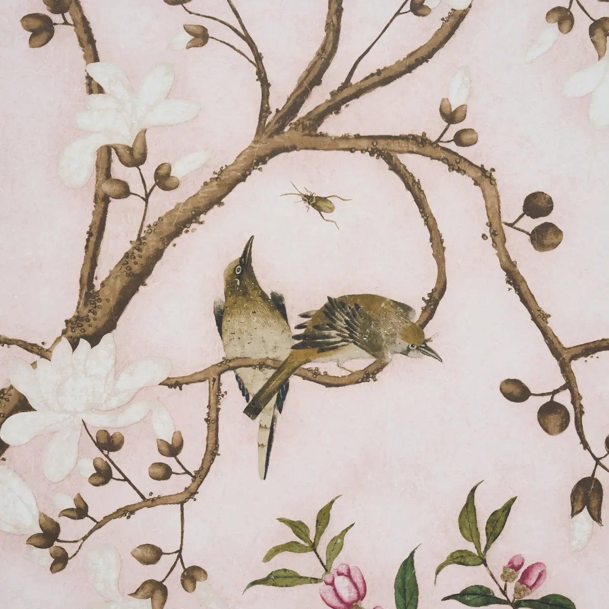 LES-OISEAUX-PANEL-SET-BLUSH-SCHUMACHER-5015154