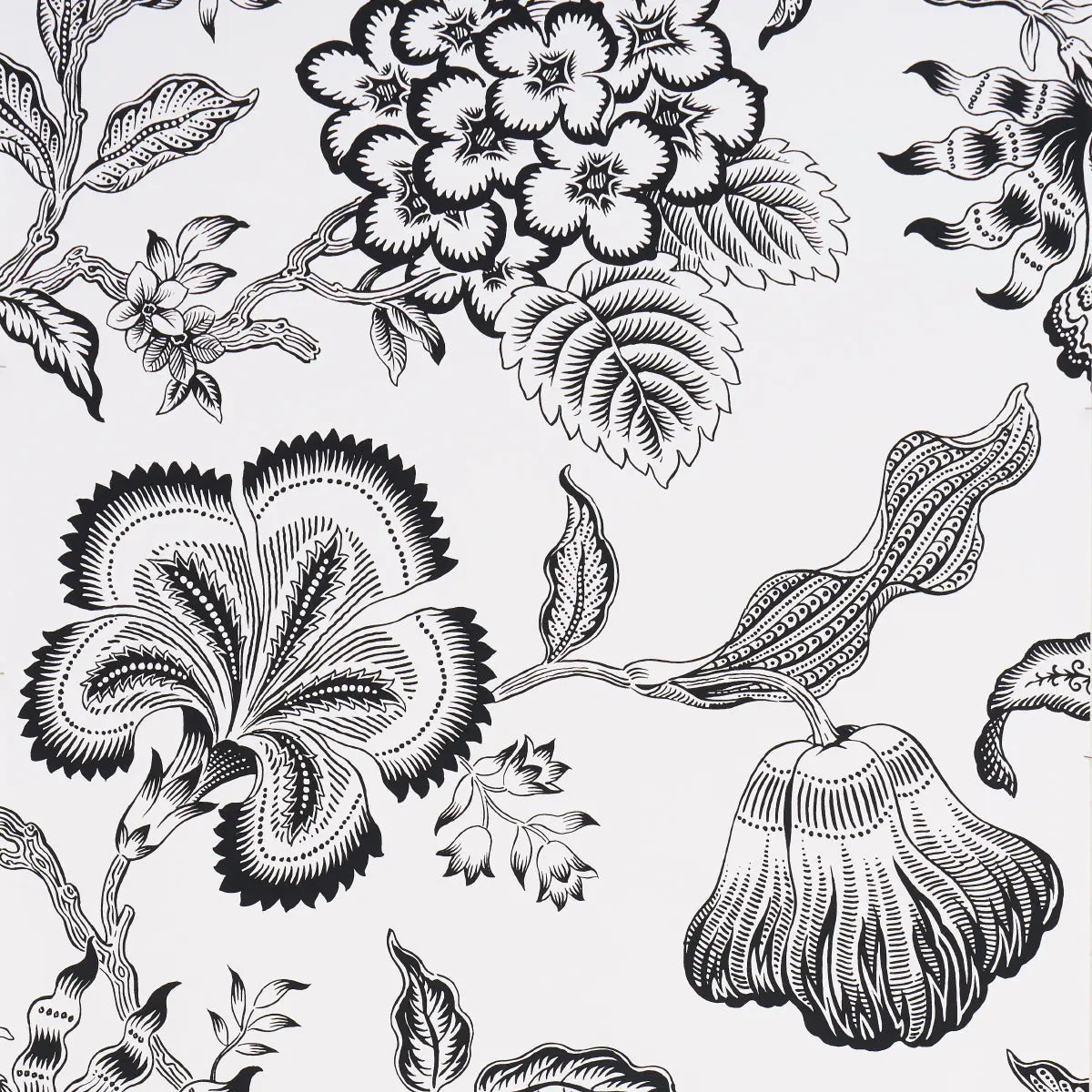 HOTHOUSE-FLOWERS-SILHOUETTE-BLACK-AND-WHITE-SCHUMACHER-5015323