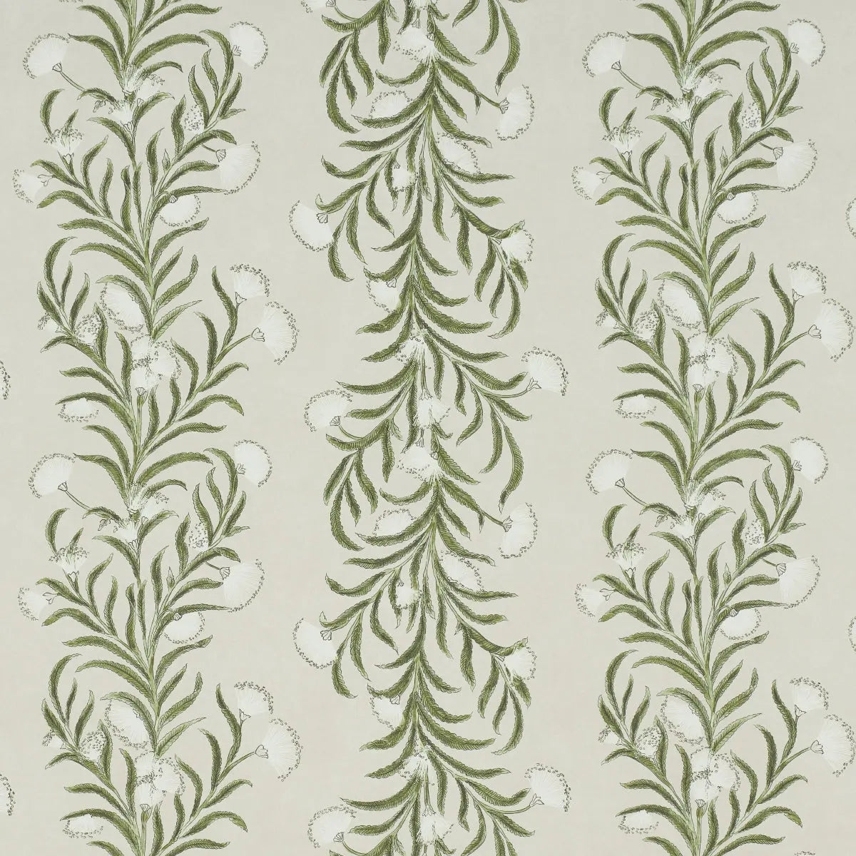 TASMANIAN-MIMOSA-IVORY-GREEN-SCHUMACHER-5015362