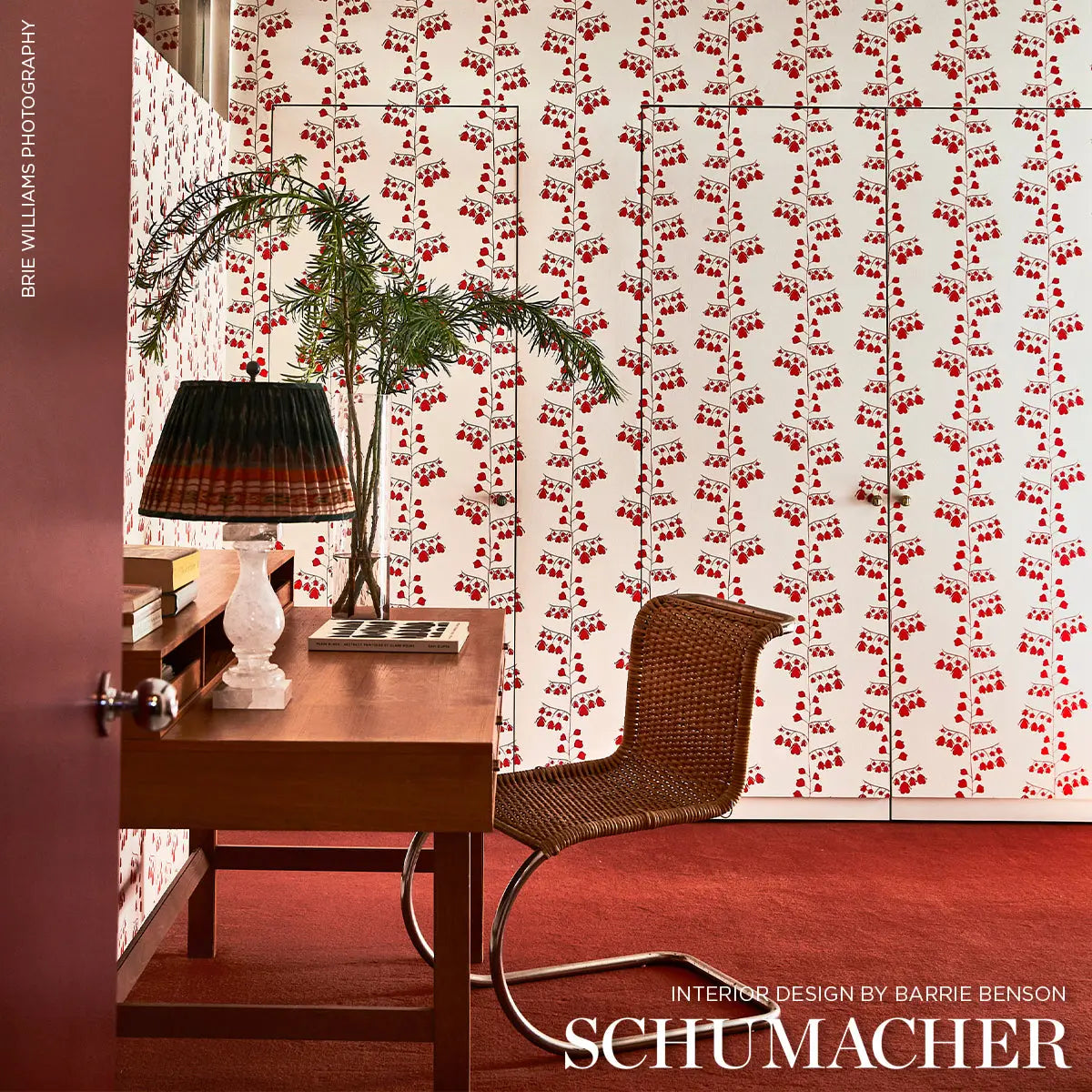 BLEEDING-HEARTS-RED-SCHUMACHER-5015861