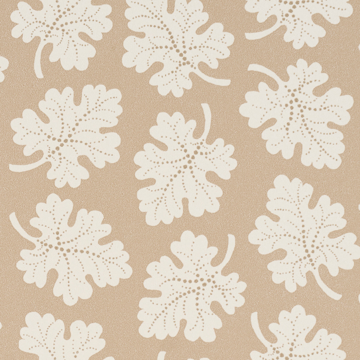 OLIVE-NEUTRAL-SCHUMACHER-5015922