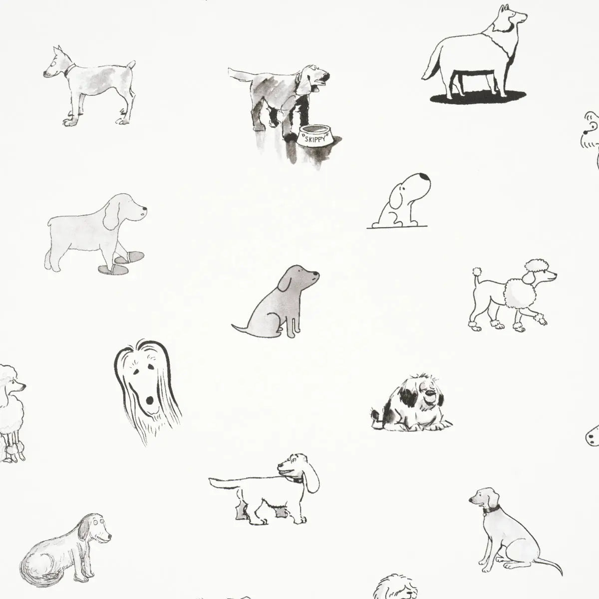 GOOD-DOGS-EVERYWHERE-BLACK-WHITE-SCHUMACHER-5016130