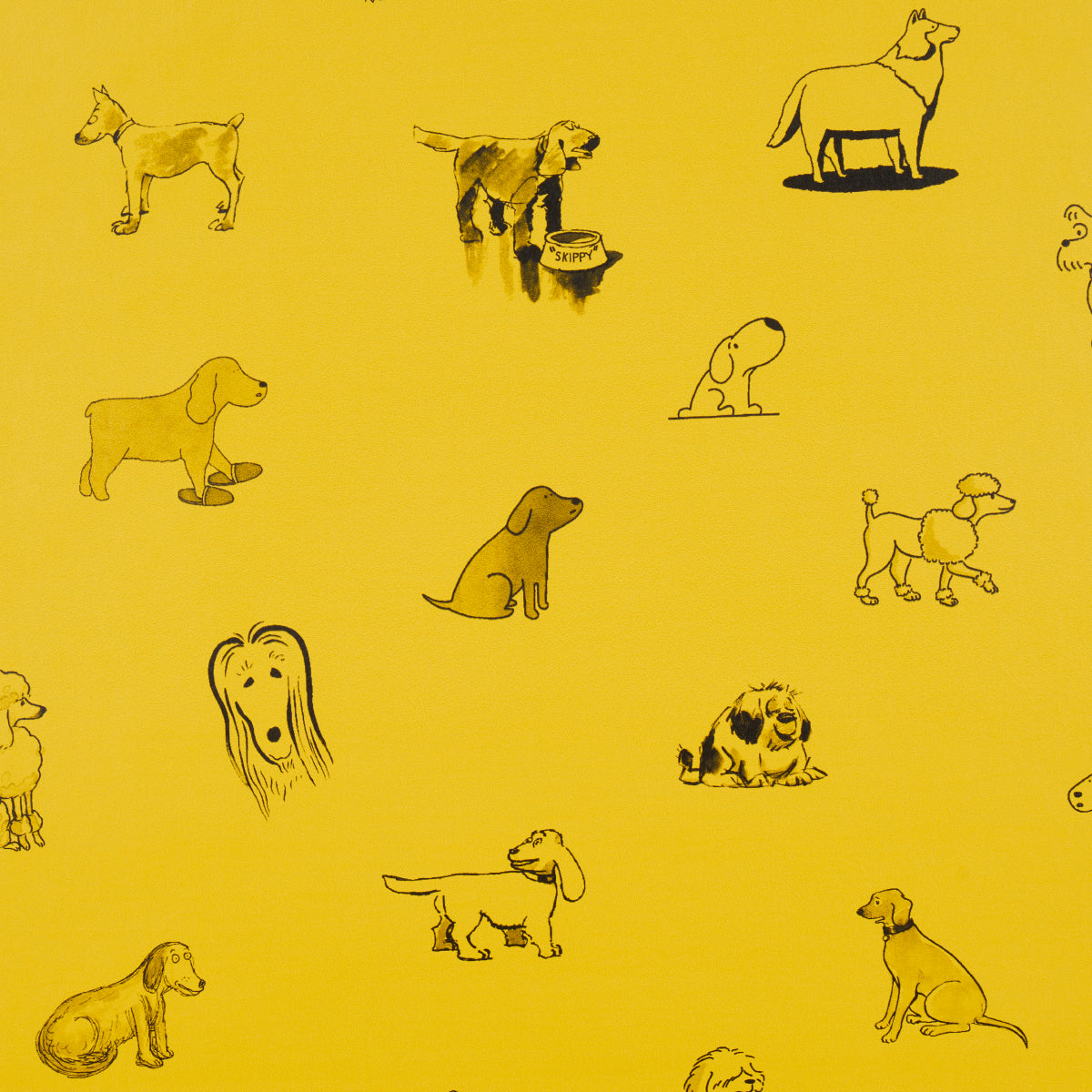 GOOD-DOGS-EVERYWHERE-TAXI-CAB-YELLOW-SCHUMACHER-5016131