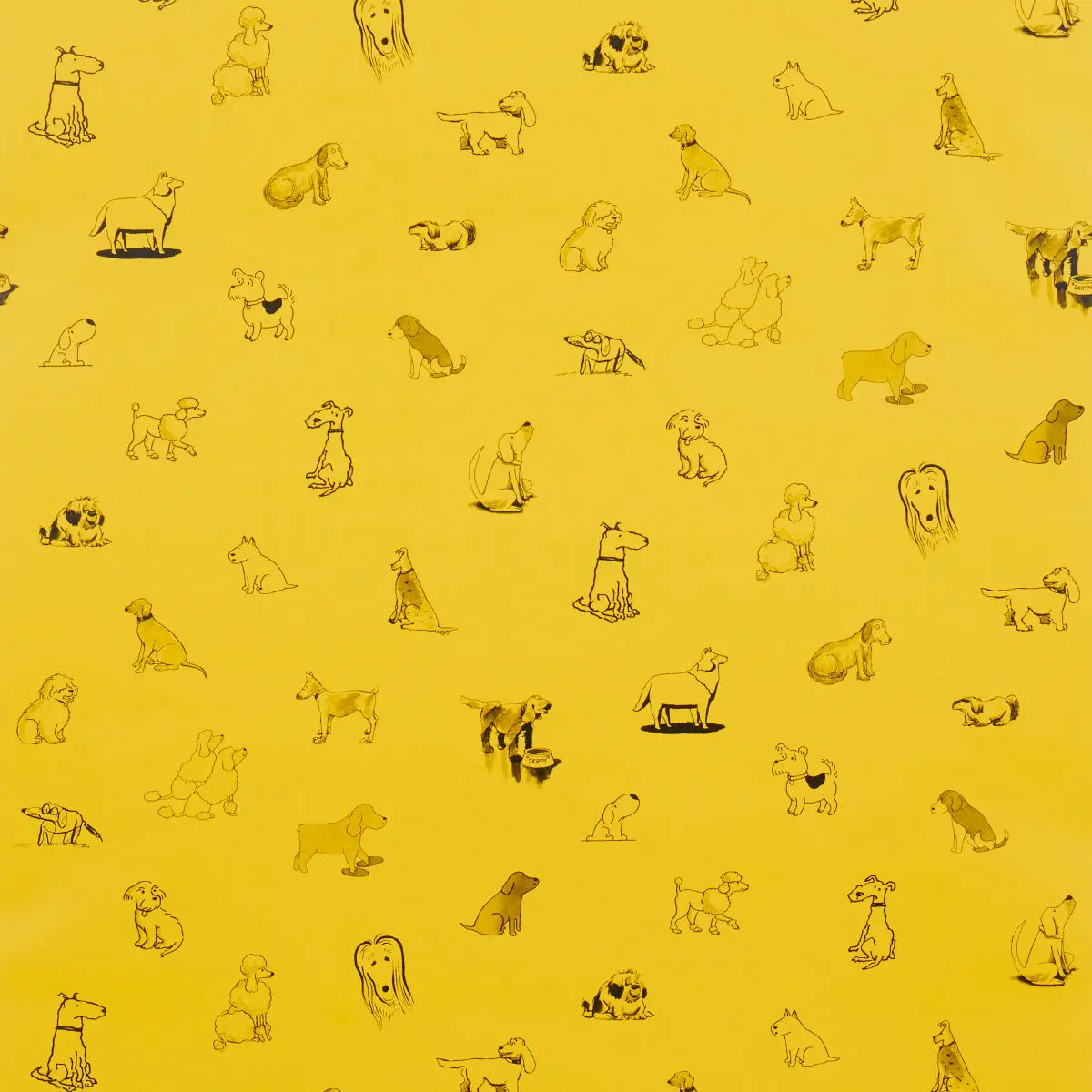 GOOD-DOGS-EVERYWHERE-TAXI-CAB-YELLOW-SCHUMACHER-5016131