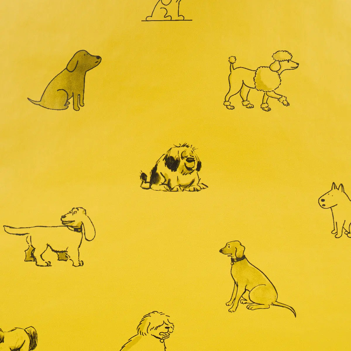 GOOD-DOGS-EVERYWHERE-TAXI-CAB-YELLOW-SCHUMACHER-5016301