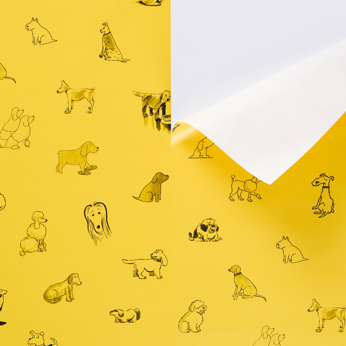 GOOD-DOGS-EVERYWHERE-TAXI-CAB-YELLOW-SCHUMACHER-5016300