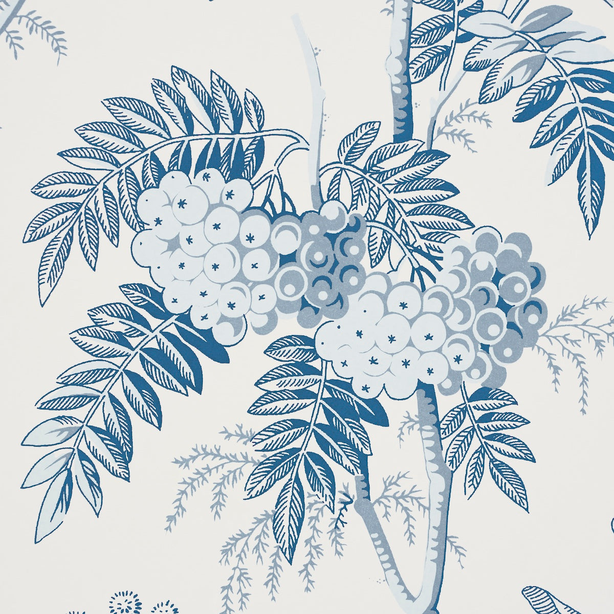 BRANTWOOD-VINE-PORCELAIN-SCHUMACHER-5016352