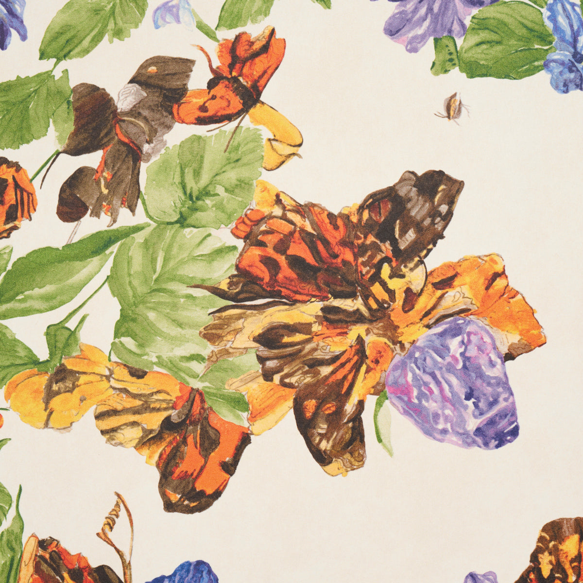 PYNE-BUTTERFLY-MONARCH-ORANGE-SCHUMACHER-5016380