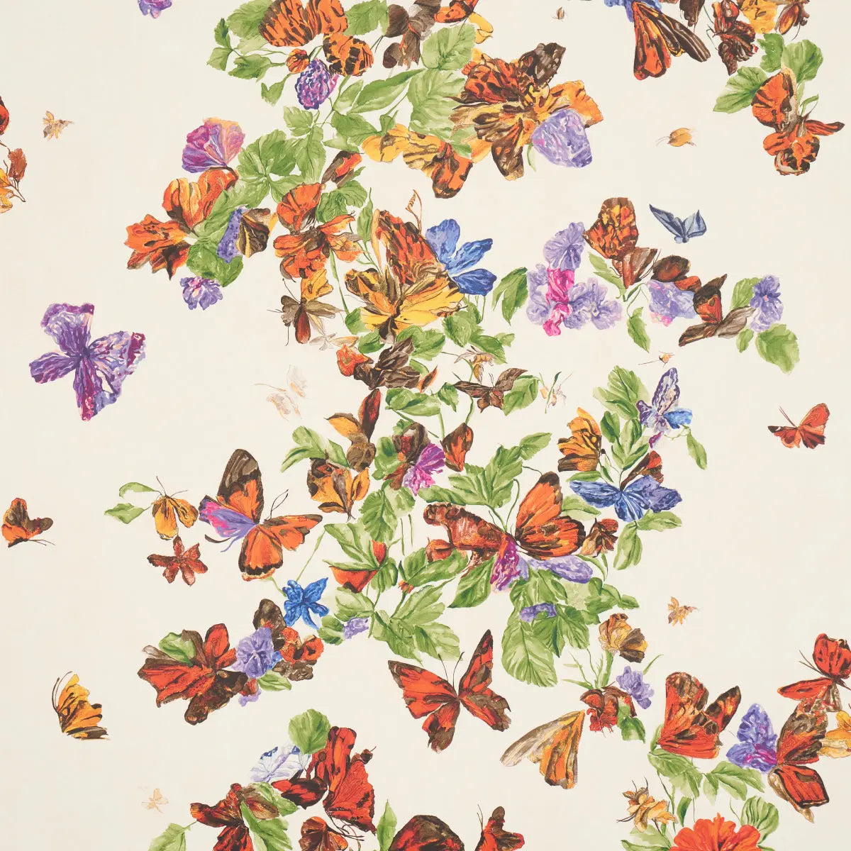 PYNE-BUTTERFLY-MONARCH-ORANGE-SCHUMACHER-5016380