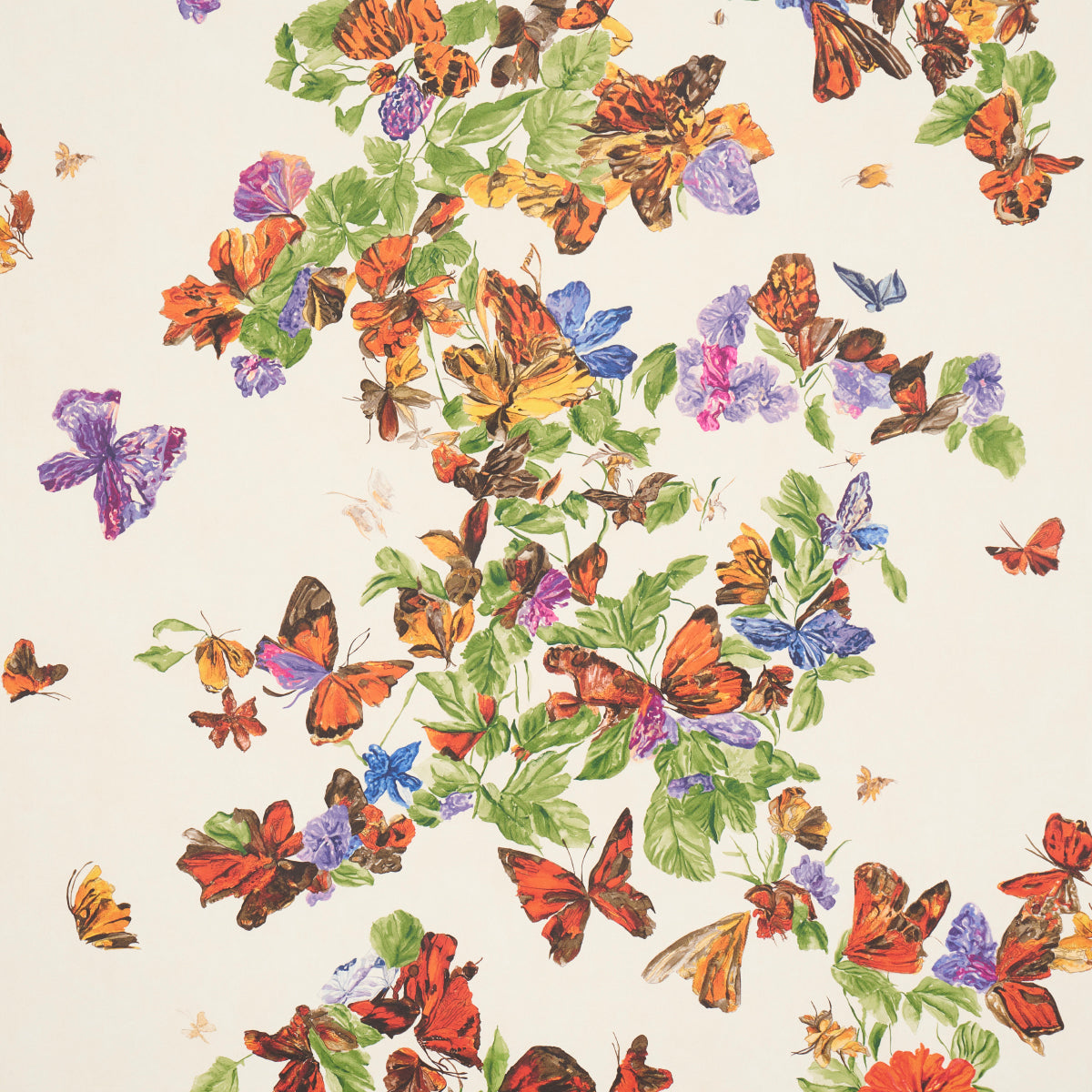 PYNE-BUTTERFLY-MONARCH-ORANGE-SCHUMACHER-5016380