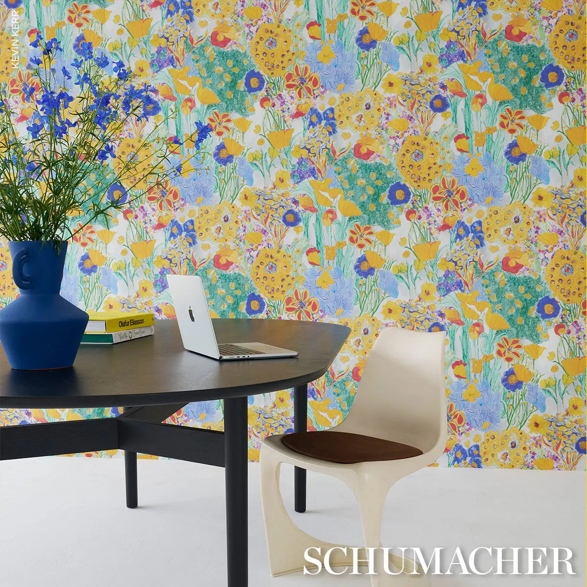 FRANKS-GARDEN-PRIMARY-SCHUMACHER-5016420