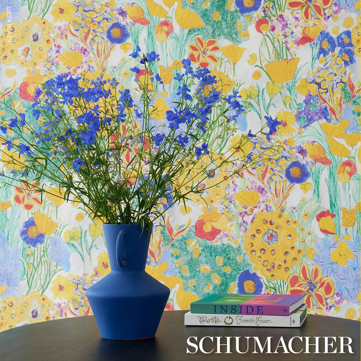 FRANKS-GARDEN-PRIMARY-SCHUMACHER-5016420