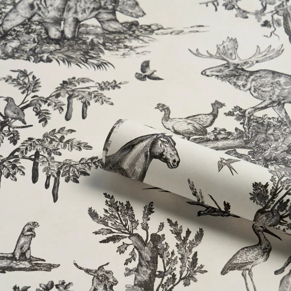 WESTERN-TOILE-CARBON-SCHUMACHER-5016440