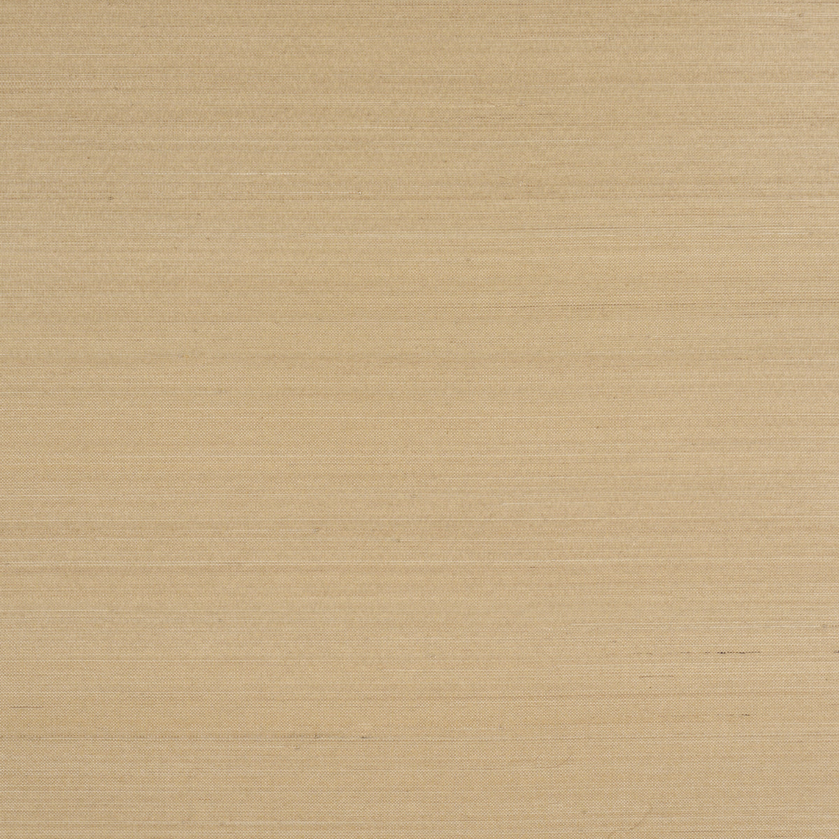 MUSA-ABACA-WALLCOVERING-SOFT-GOLD-SCHUMACHER-5016873