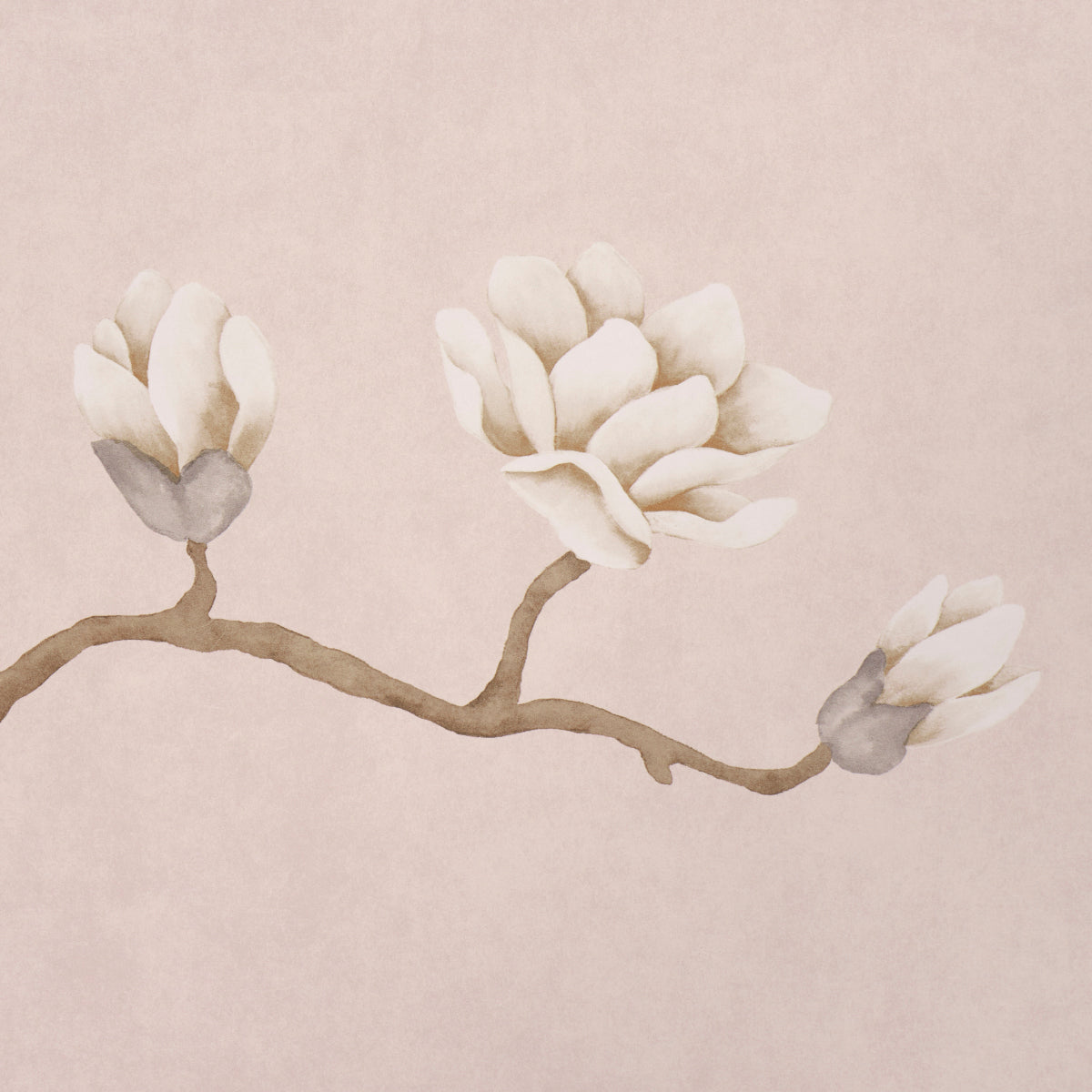 MAGNOLIA-TREE-DUSTY-BLUSH-SCHUMACHER-5016932