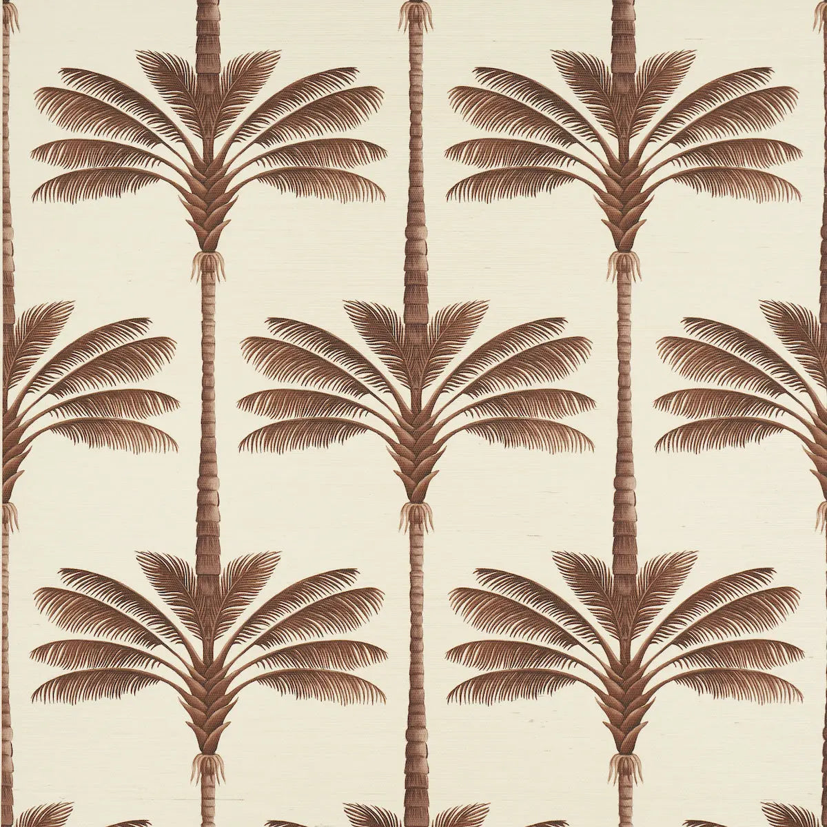 A-PALM-IS-A-PALM-SISAL-CHOCOLATE-MEETS-TOBACCO-SCHUMACHER-5016960