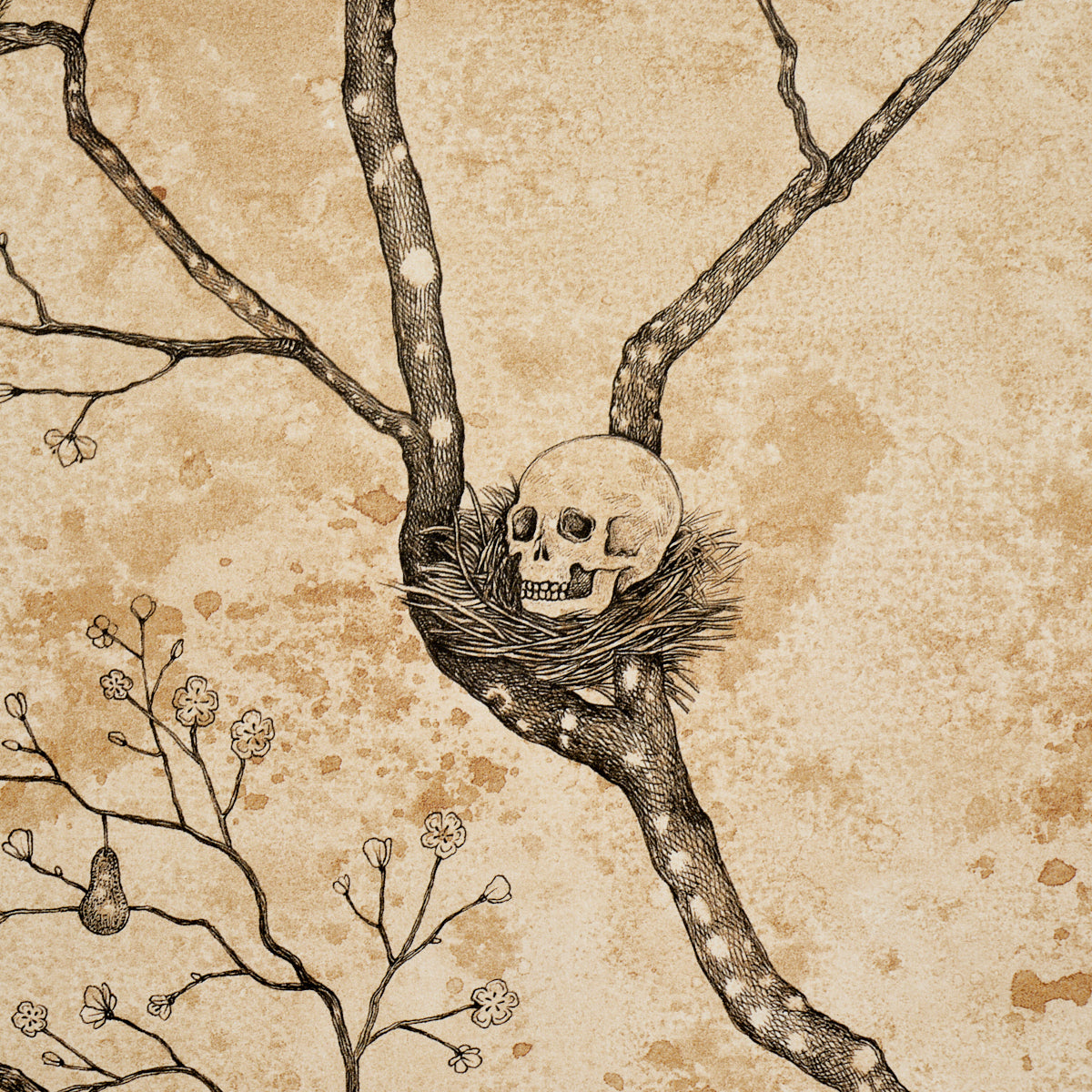 LATTESA-NELLA-NOTTE-PARCHMENT-SCHUMACHER-5017090