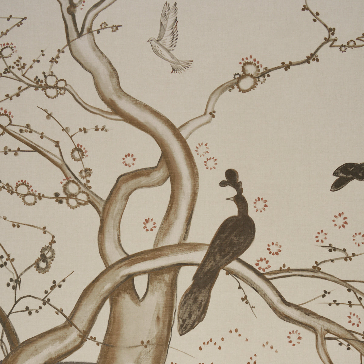 BIRDSONG-3-PANEL-SET-CARBON-SCHUMACHER-5017110
