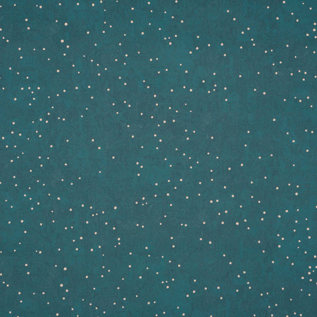 BRINDILLE-STARRY-SKY-PEACOCK-SCHUMACHER-5017120
