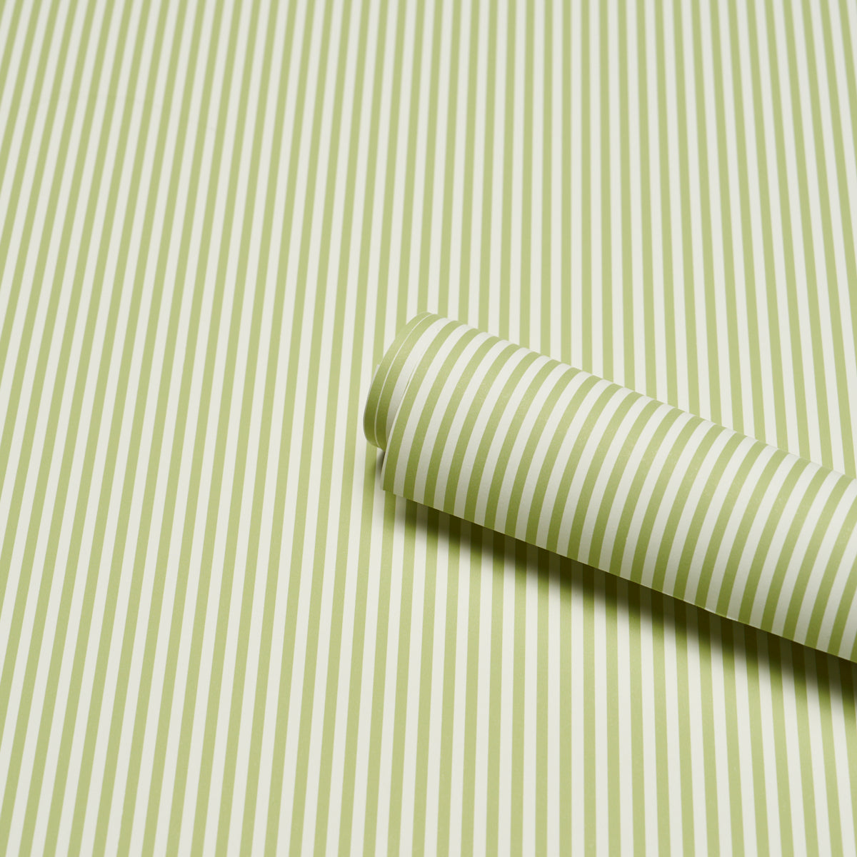 EMMA-STRIPE-NARROW-LEAF-SCHUMACHER-5017193