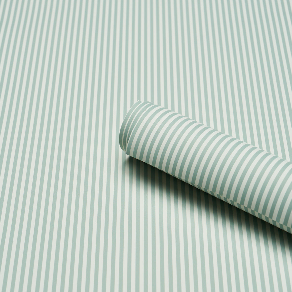 EMMA-STRIPE-NARROW-TEAL-SCHUMACHER-5017195