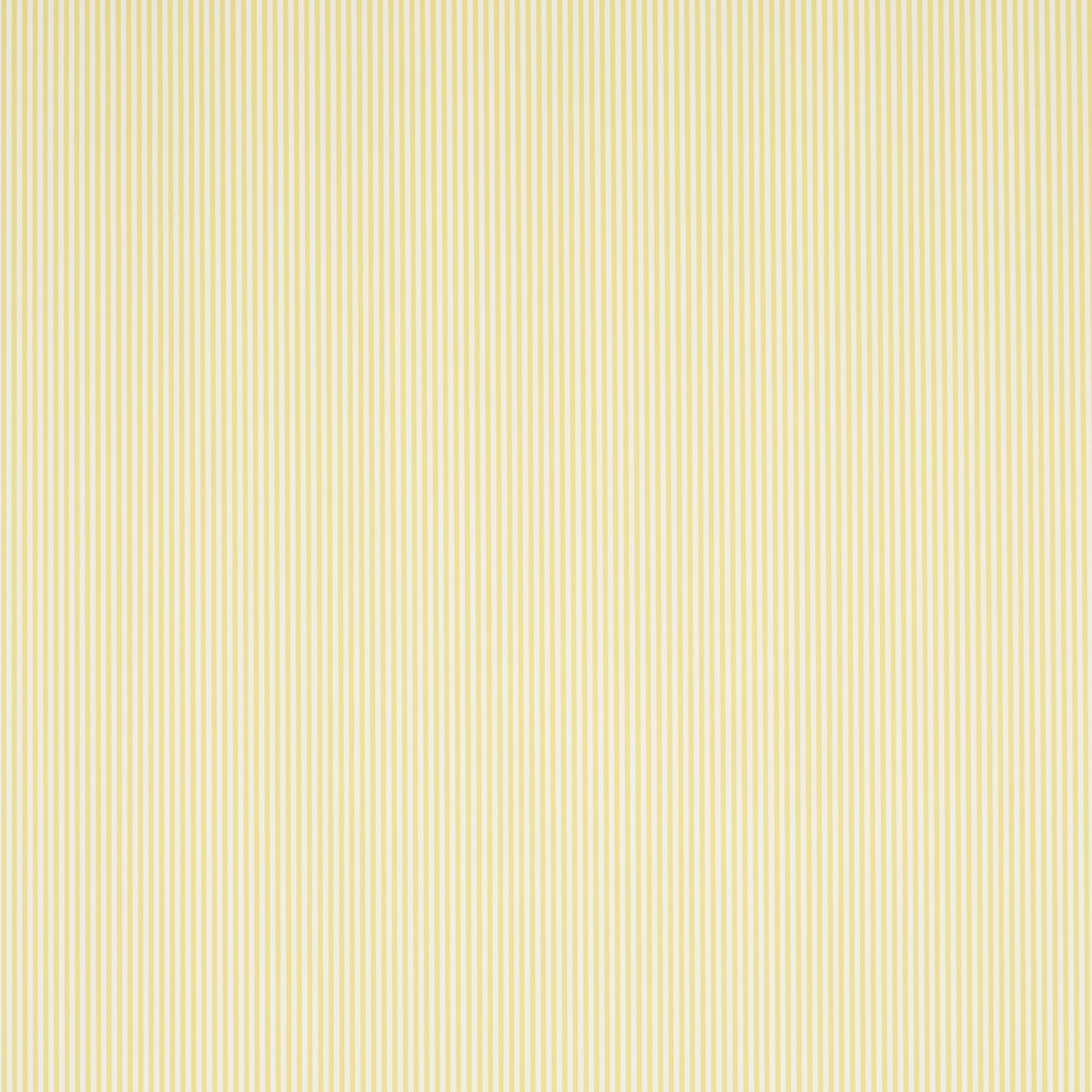 EMMA-STRIPE-NARROW-YELLOW-SCHUMACHER-5017196