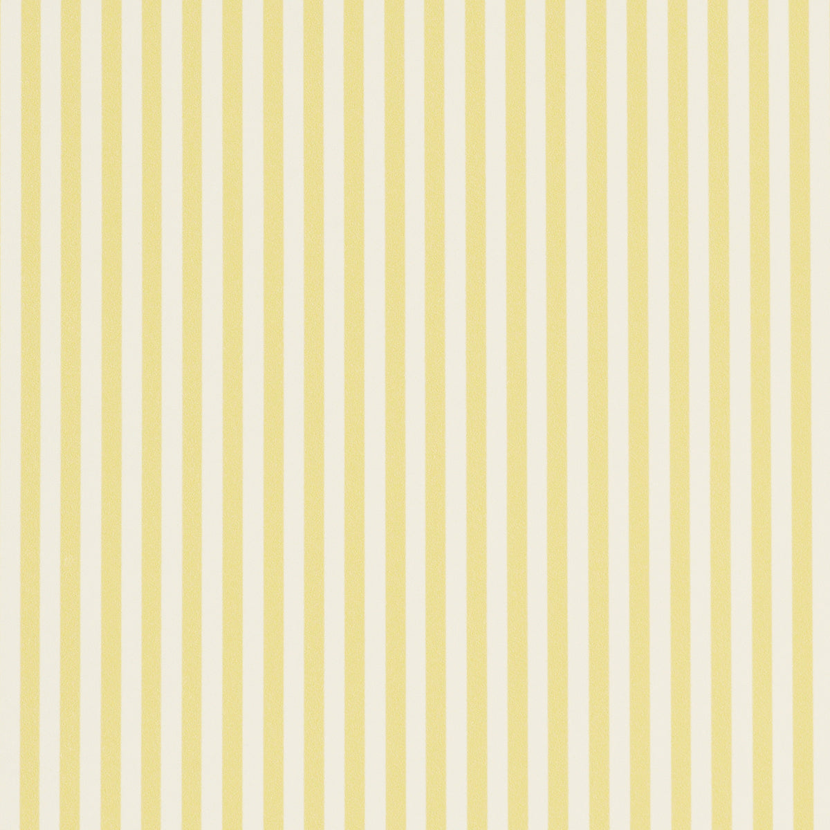 EMMA-STRIPE-NARROW-YELLOW-SCHUMACHER-5017196