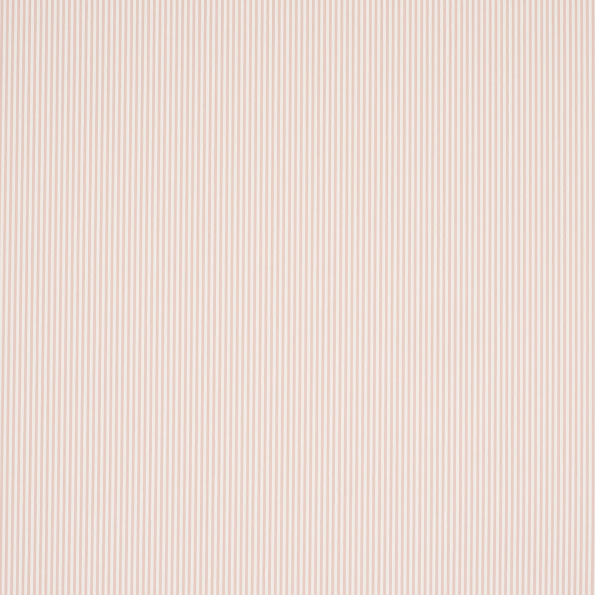 EMMA-STRIPE-NARROW-BLUSH-SCHUMACHER-5017199