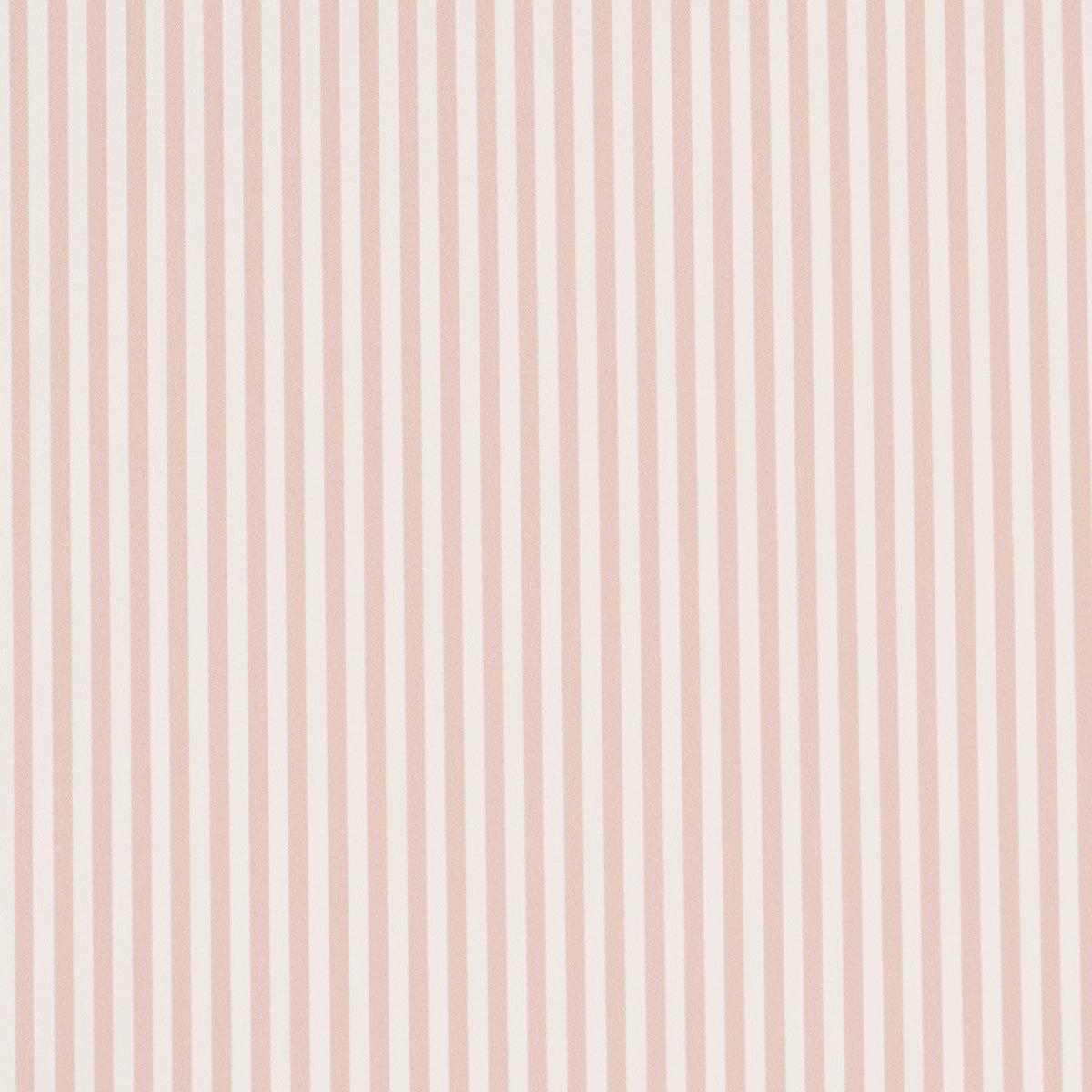 EMMA-STRIPE-NARROW-BLUSH-SCHUMACHER-5017199