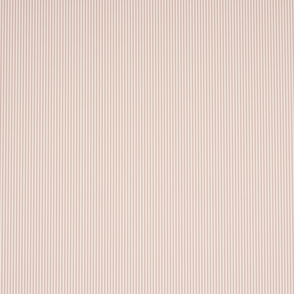 EMMA-STRIPE-NARROW-ROSE-SCHUMACHER-5017200